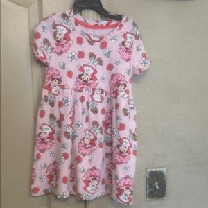 NWT Sz 5t Strawberry Shortcake dress